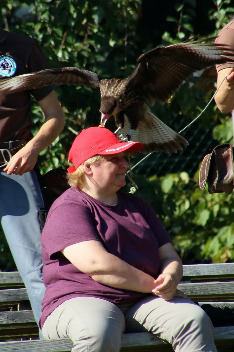 2016_09_15_029732ap_Bildgr��e �ndern