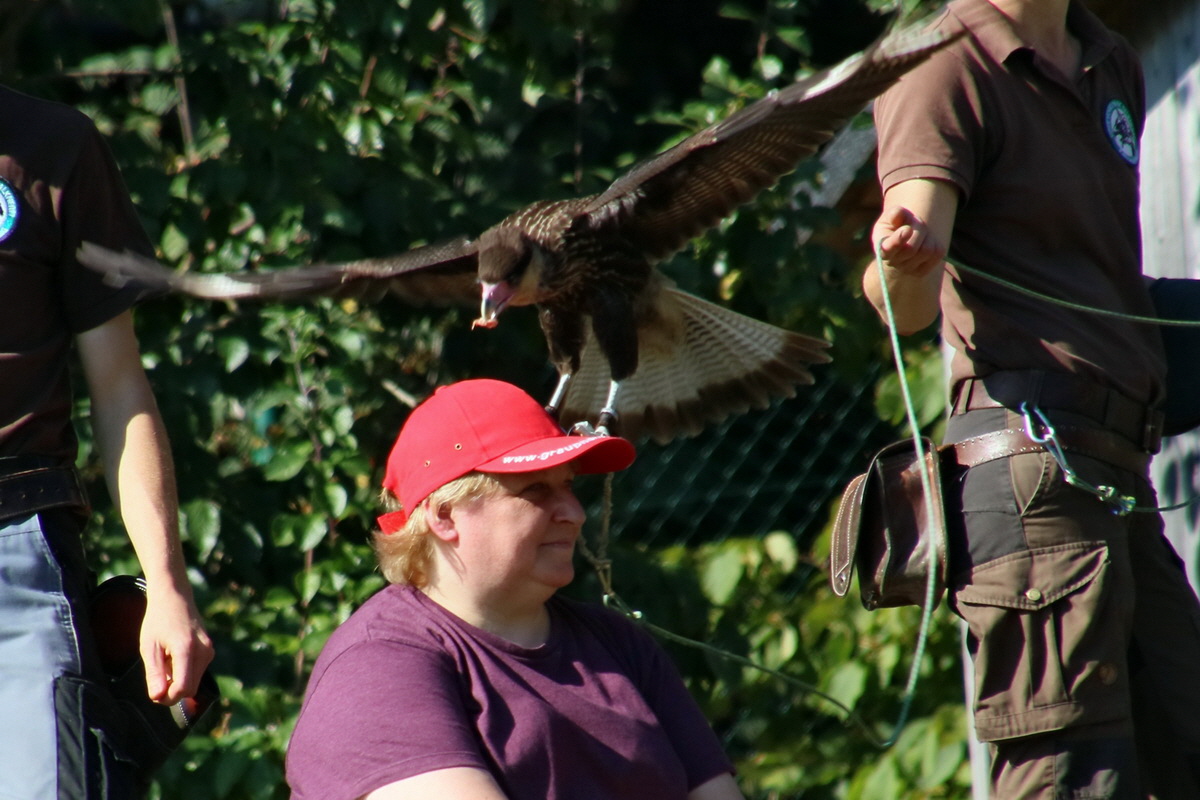 2016_09_15_029733ap_Bildgr��e �ndern