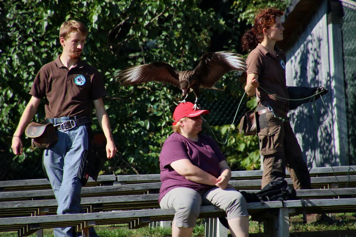 2016_09_15_029735p_Bildgr��e �ndern