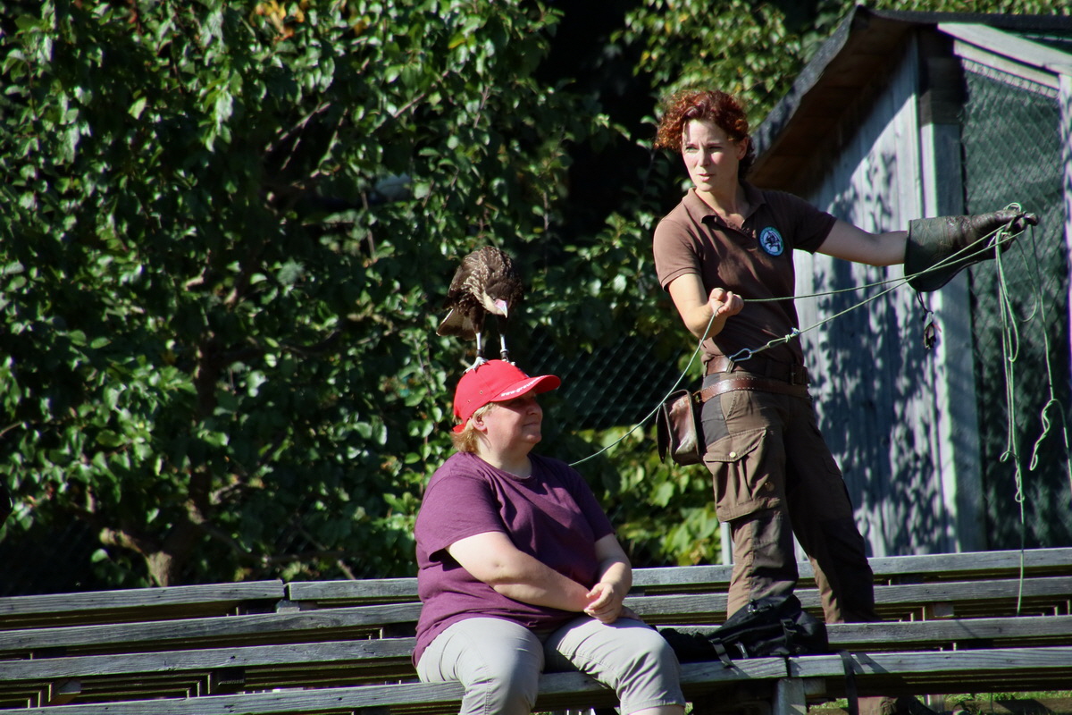 2016_09_15_029745p_Bildgr��e �ndern