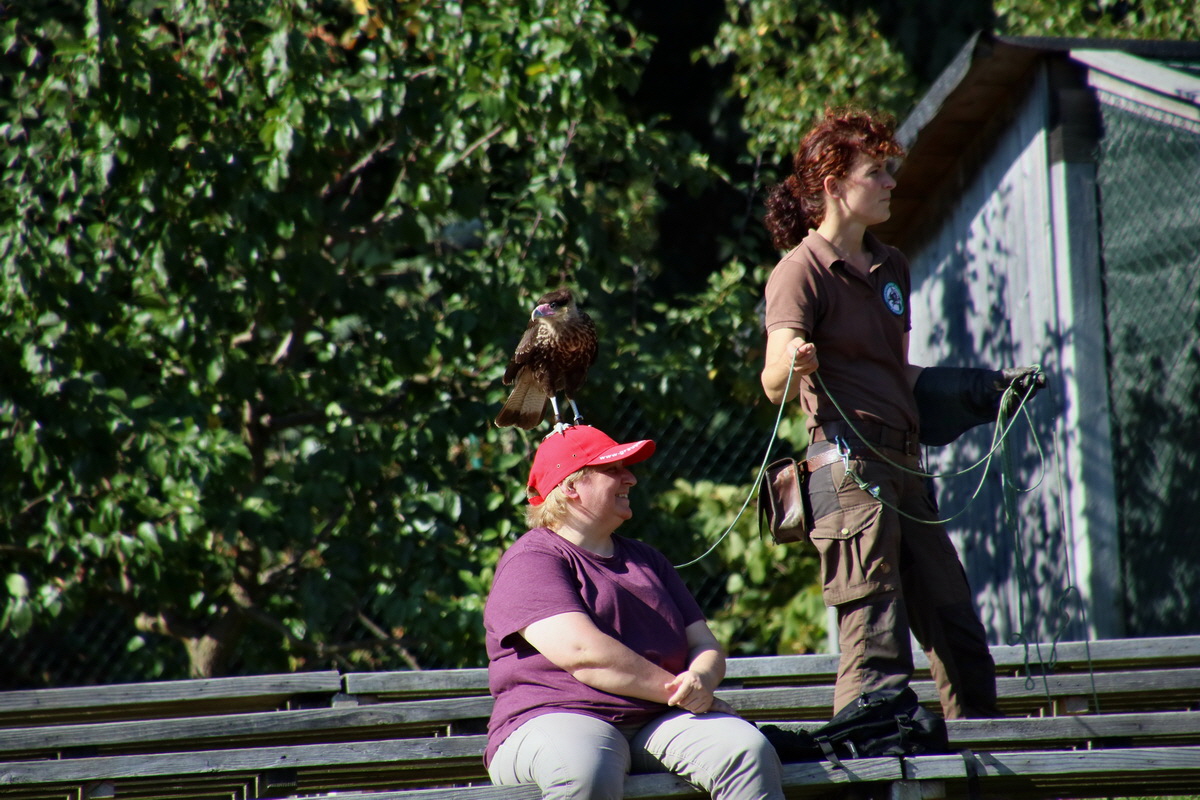 2016_09_15_029749p_Bildgr��e �ndern