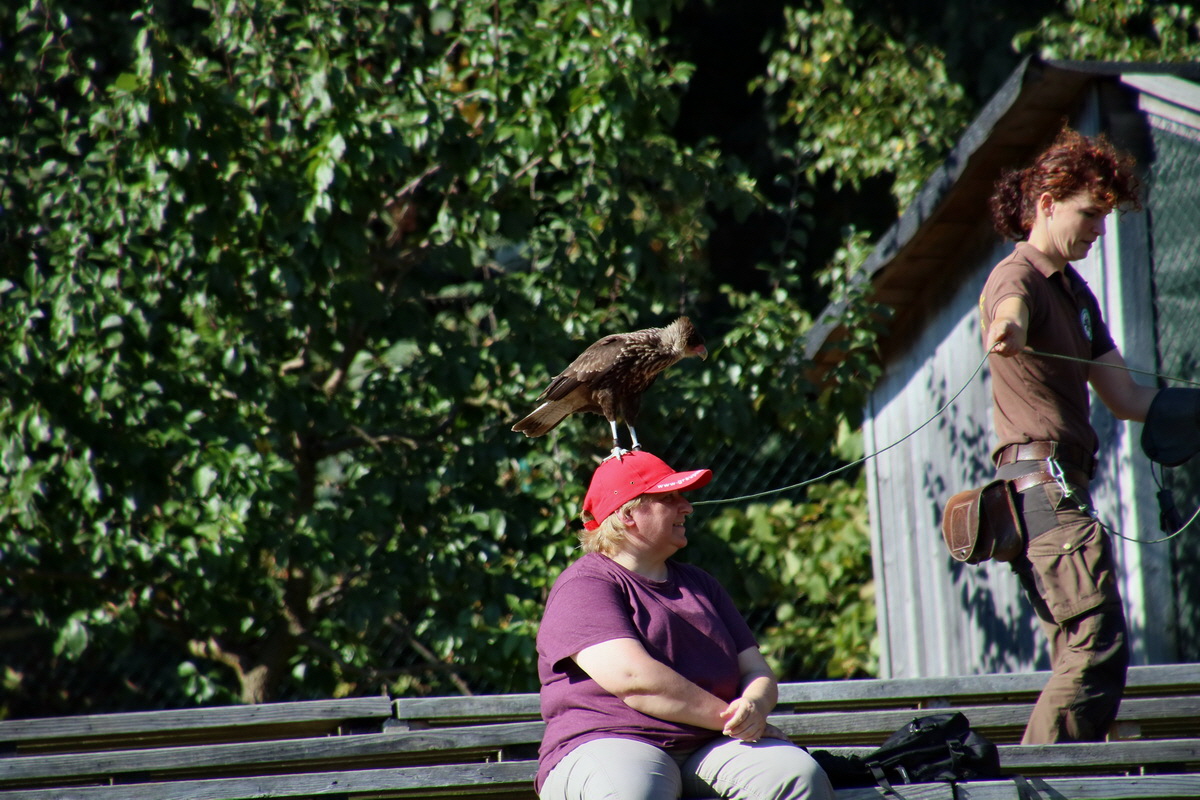 2016_09_15_029754p_Bildgr��e �ndern