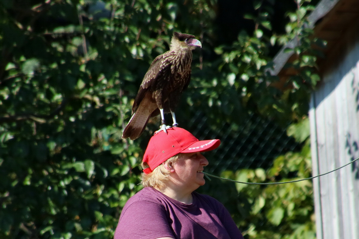 2016_09_15_029765ap_Bildgr��e �ndern