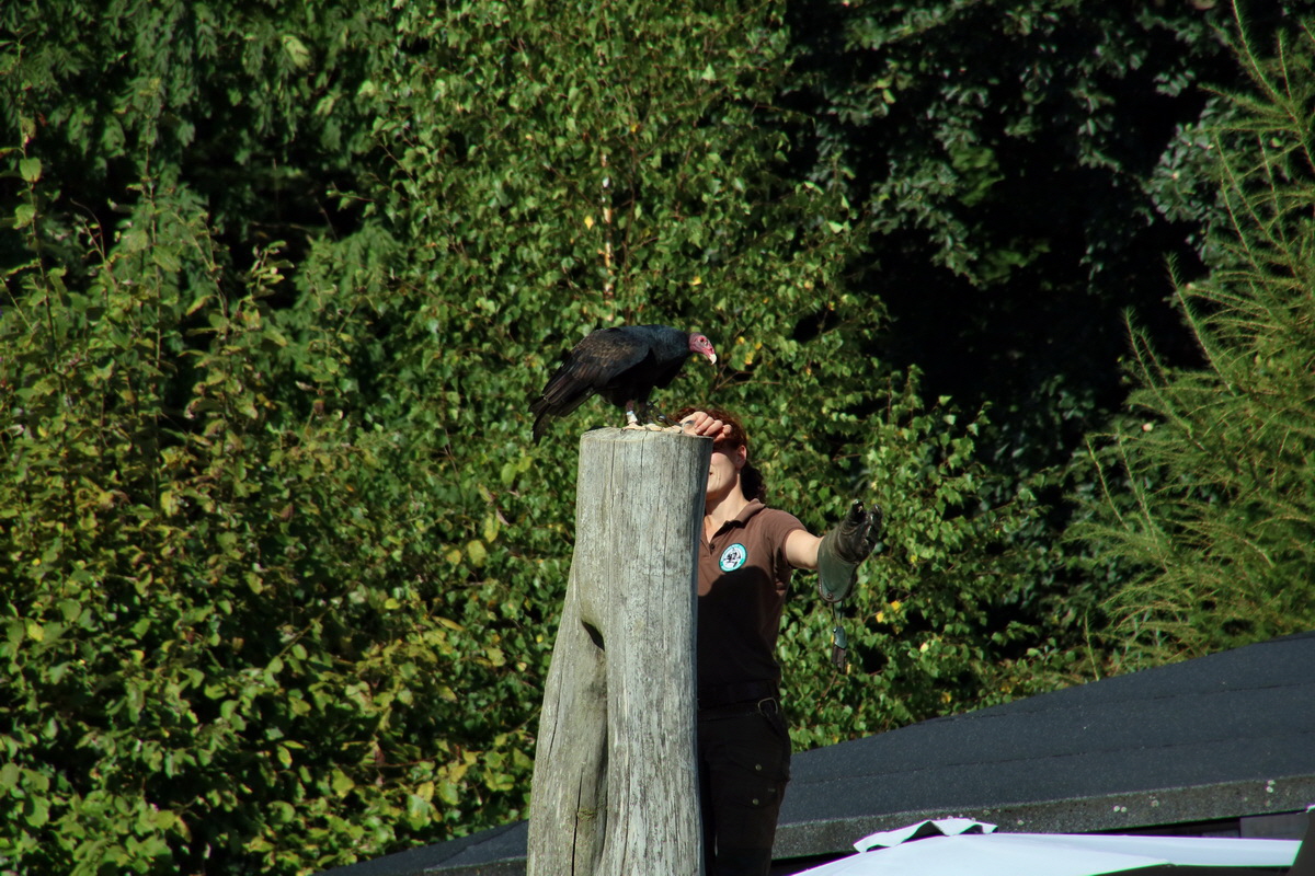 2016_09_15_029776p_Bildgr��e �ndern