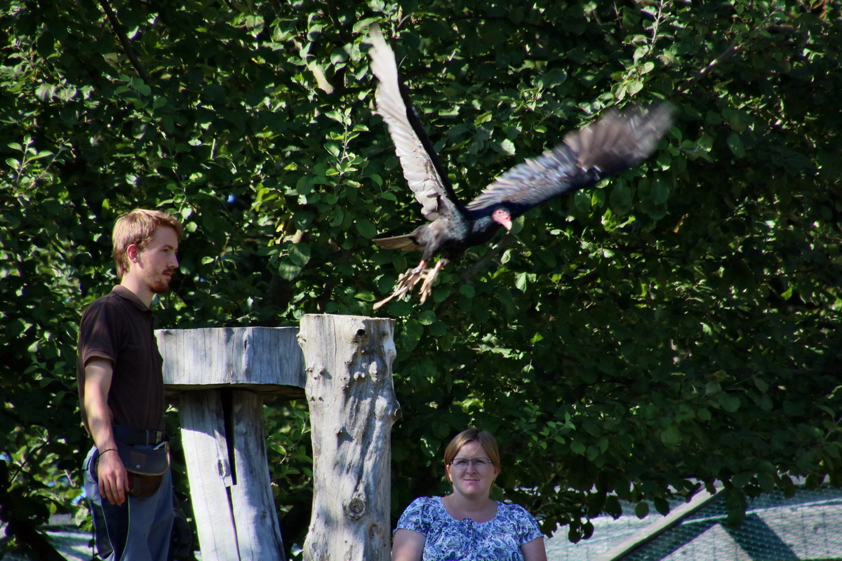 2016_09_15_029780p_Bildgr��e �ndern