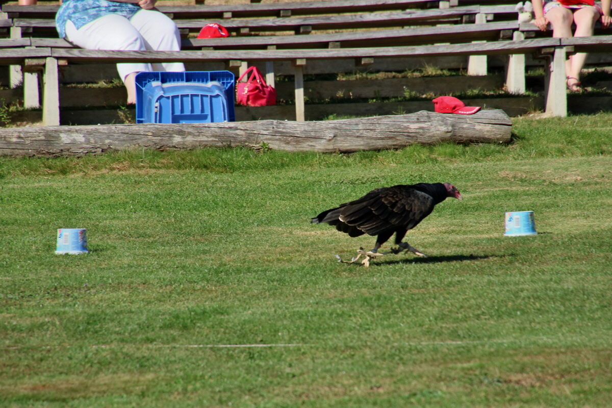 2016_09_15_029793p_Bildgr��e �ndern