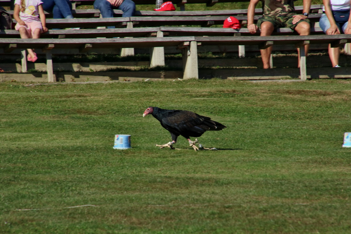 2016_09_15_029819p_Bildgr��e �ndern