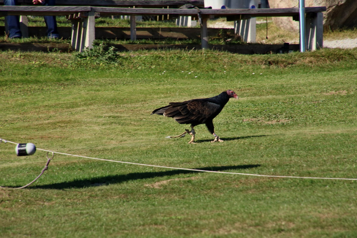 2016_09_15_029831p_Bildgr��e �ndern