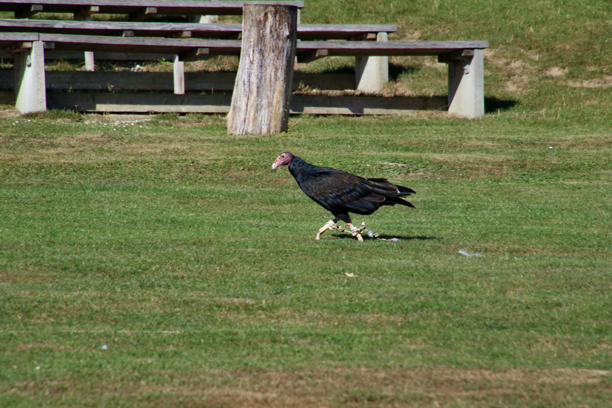 2016_09_15_029855p_Bildgr��e �ndern