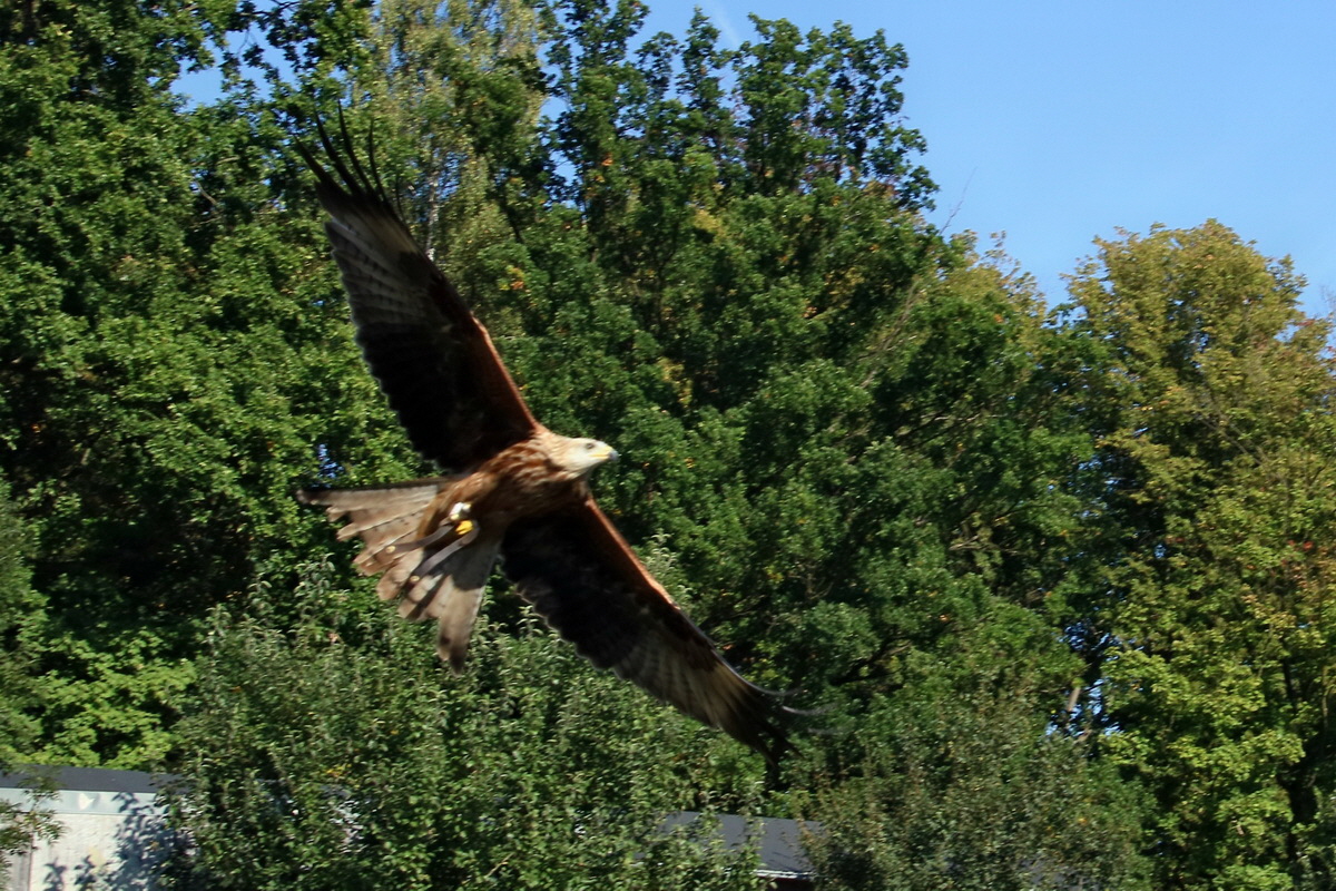 2016_09_15_029882ap_Bildgr��e �ndern