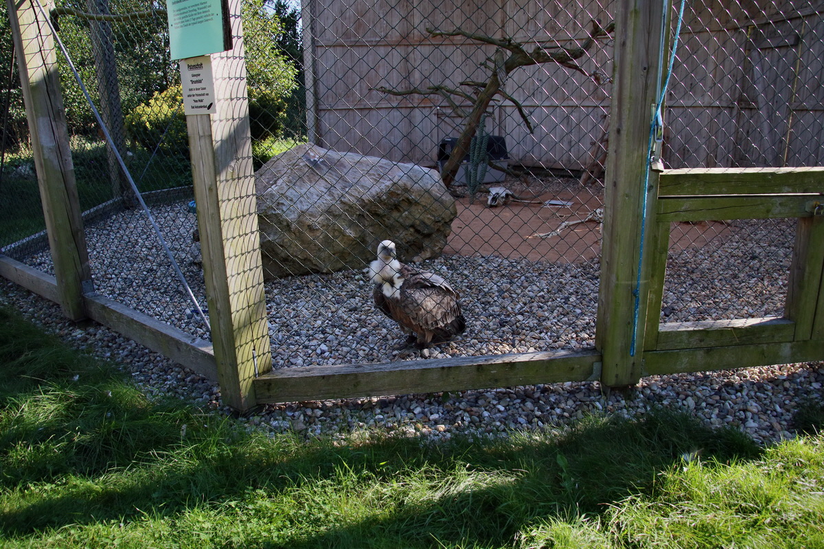 2016_09_15_029896p_Bildgr��e �ndern