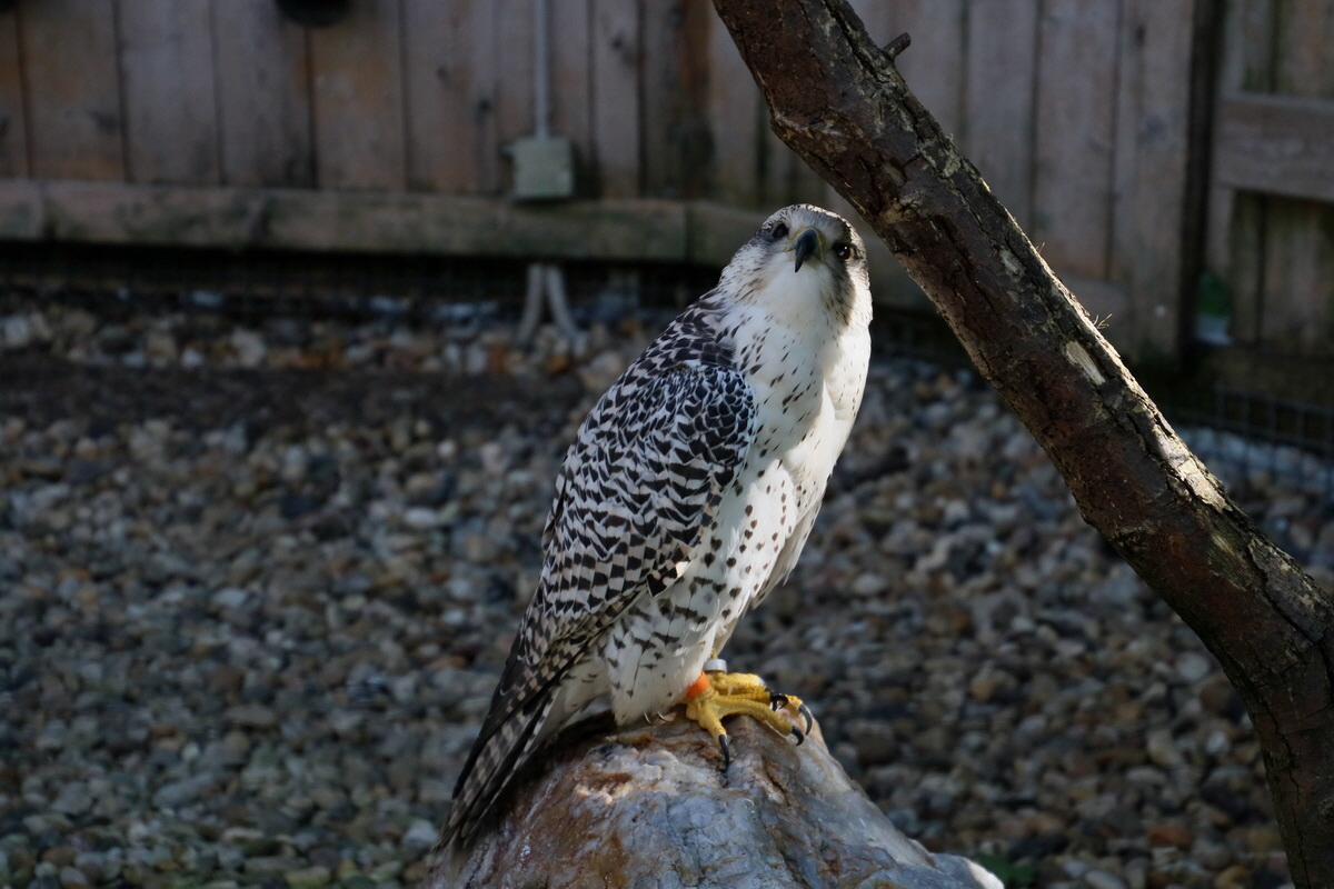 2016_09_15_029897p_Bildgr��e �ndern