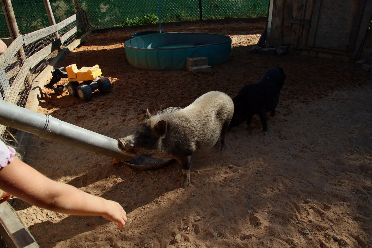 2016_09_15_029899p_Bildgr��e �ndern