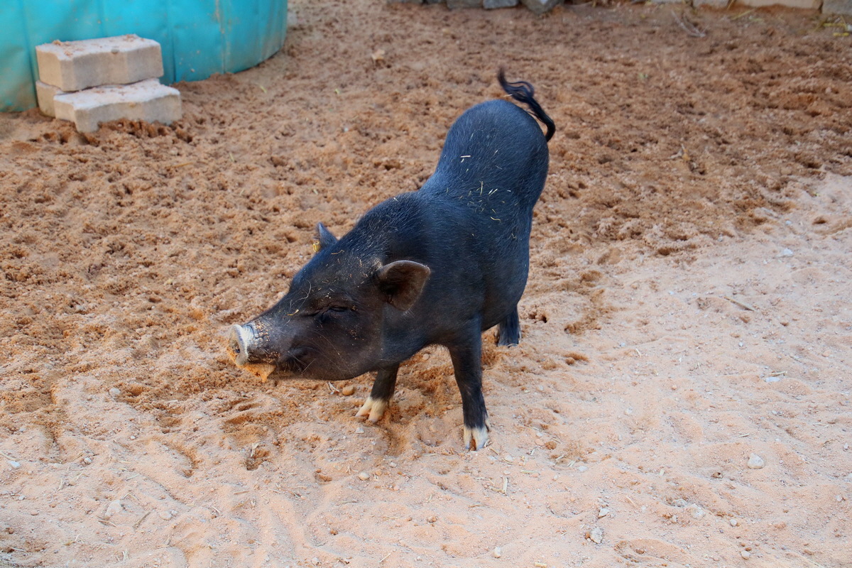 2016_09_15_029902p_Bildgr��e �ndern