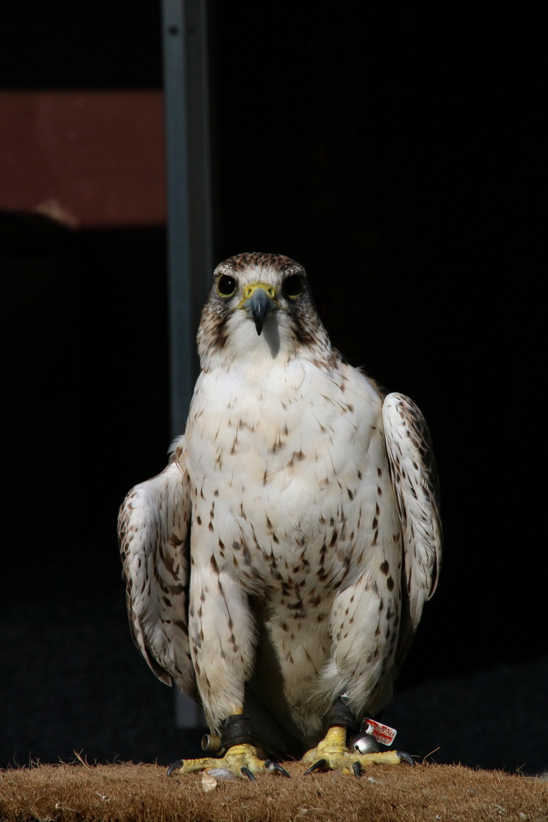 2016_09_15_029906p_Bildgr��e �ndern