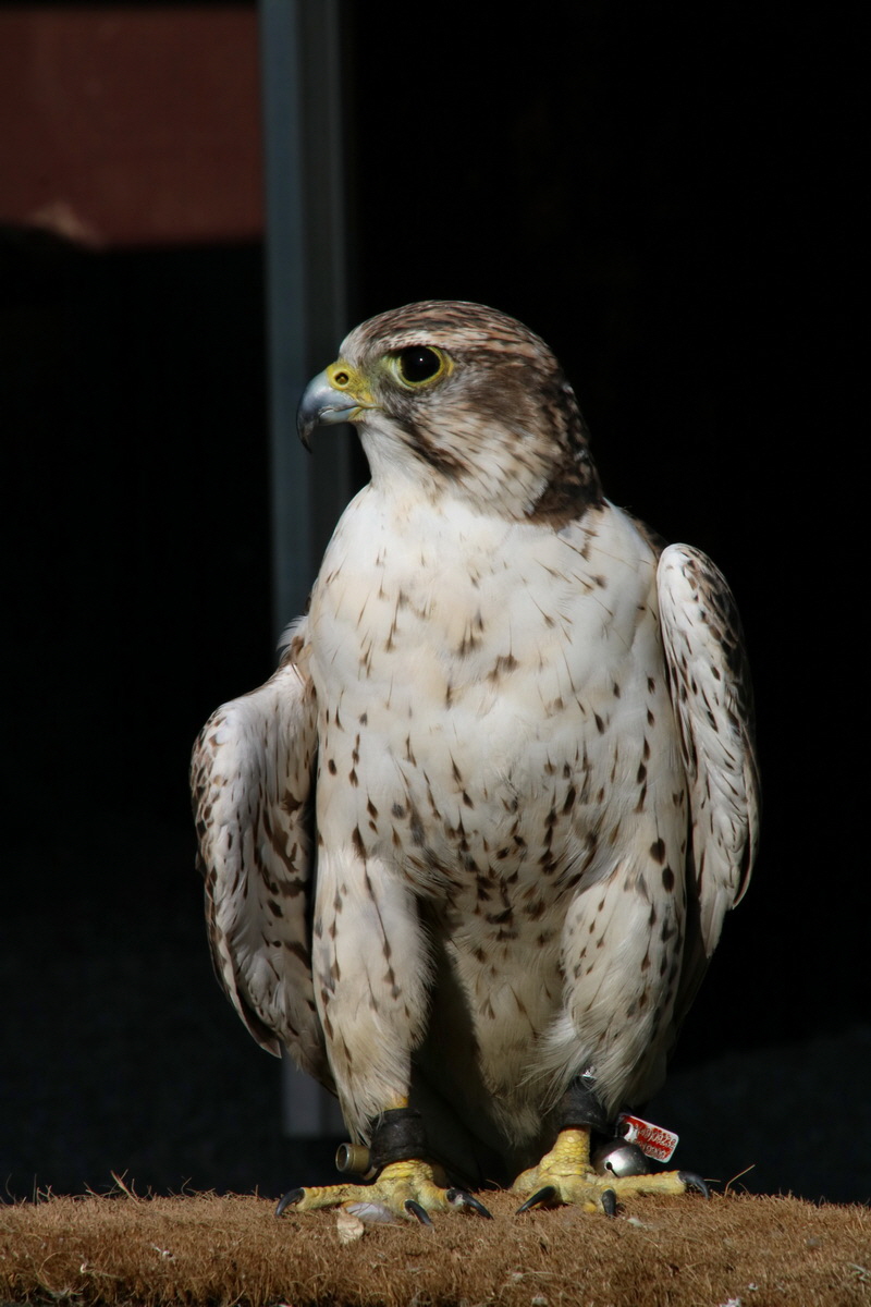 2016_09_15_029908p_Bildgr��e �ndern