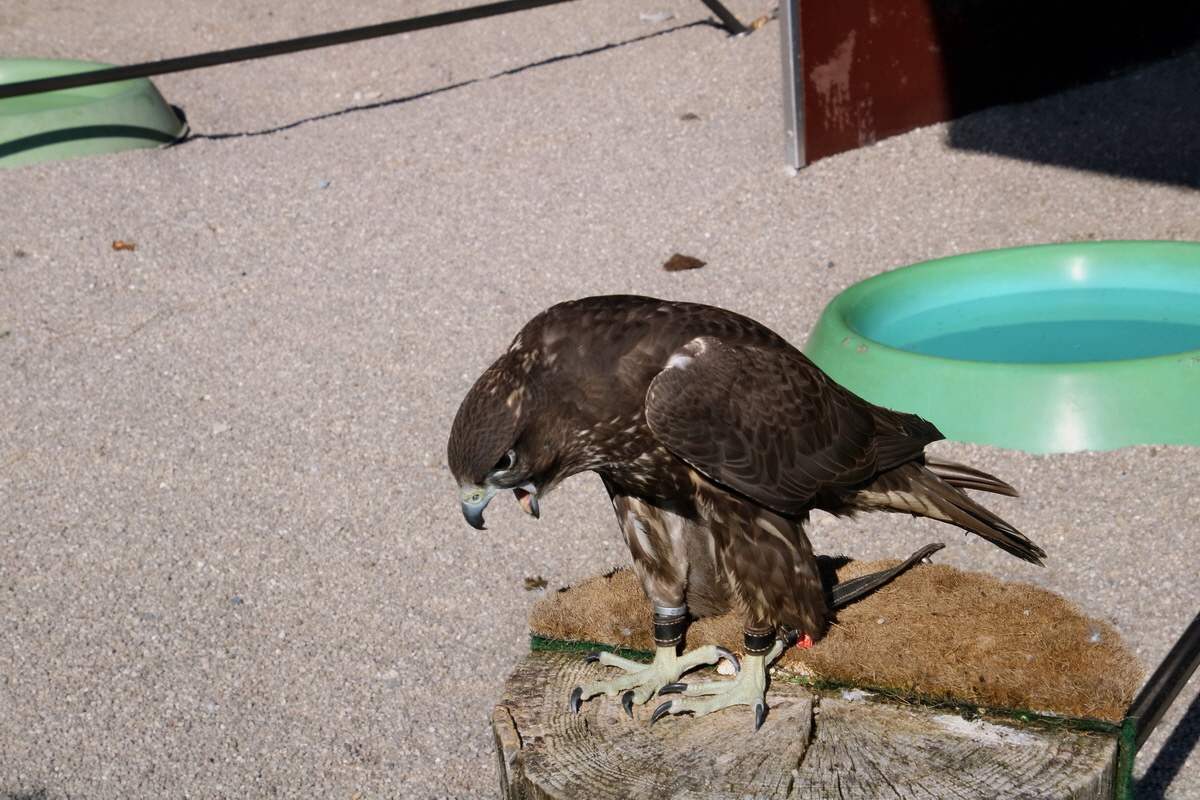 2016_09_15_029913p_Bildgr��e �ndern