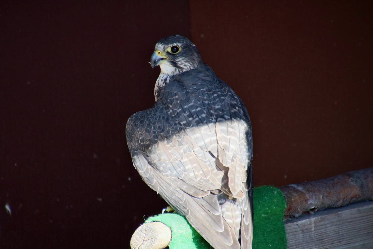 2016_09_15_029925p_Bildgr��e �ndern