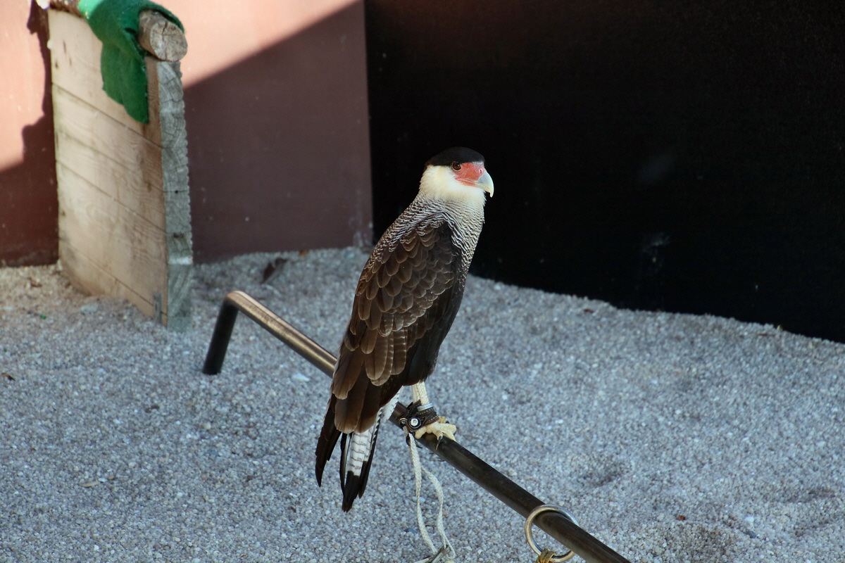 2016_09_15_029930p_Bildgr��e �ndern