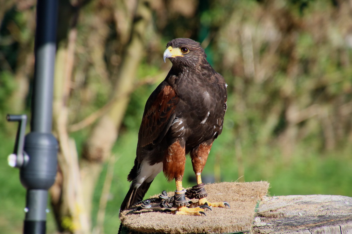 2016_09_15_029933p_Bildgr��e �ndern