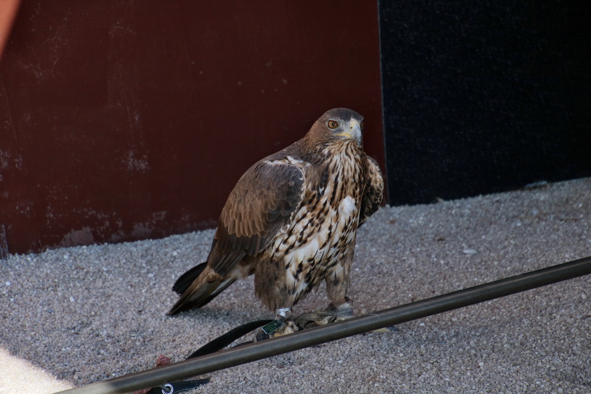 2016_09_15_029937p_Bildgr��e �ndern