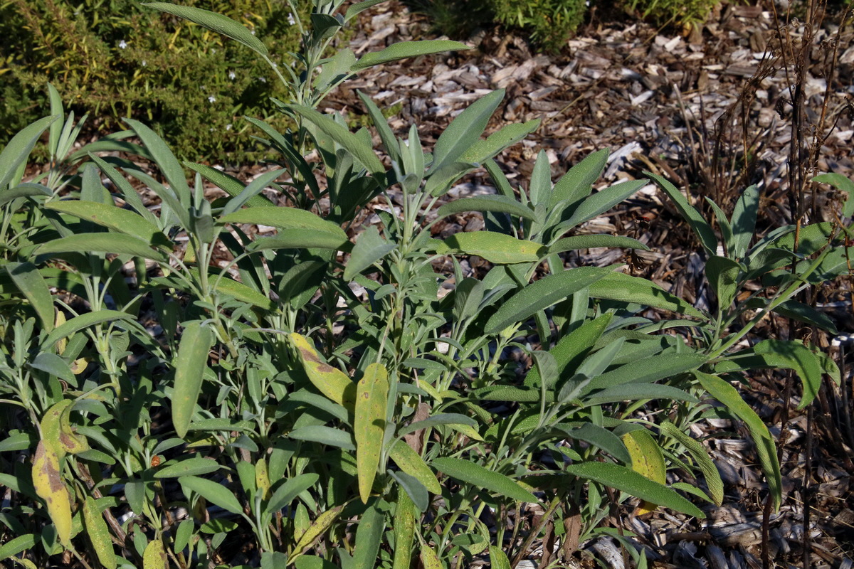 2016_09_15_029951p_Bildgr��e �ndern