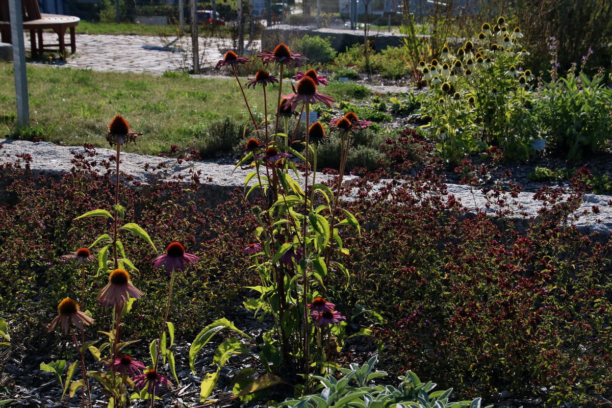 2016_09_15_029956p_Bildgr��e �ndern