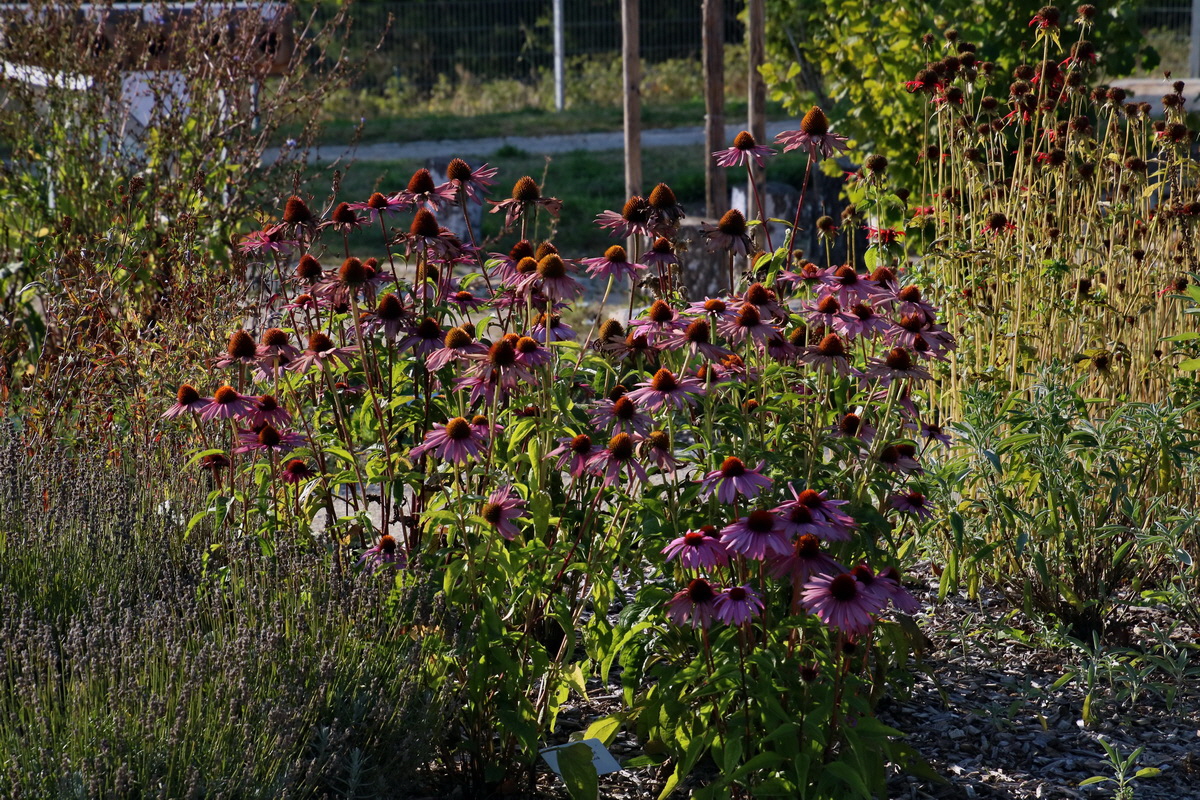 2016_09_15_029957p_Bildgr��e �ndern