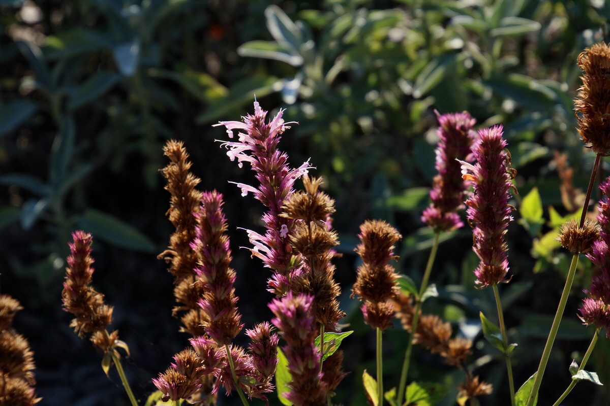 2016_09_15_029959p_Bildgr��e �ndern