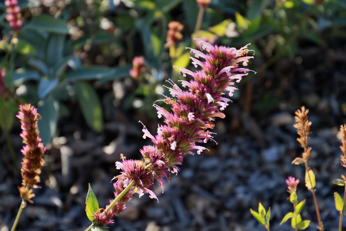 2016_09_15_029962p_Bildgr��e �ndern