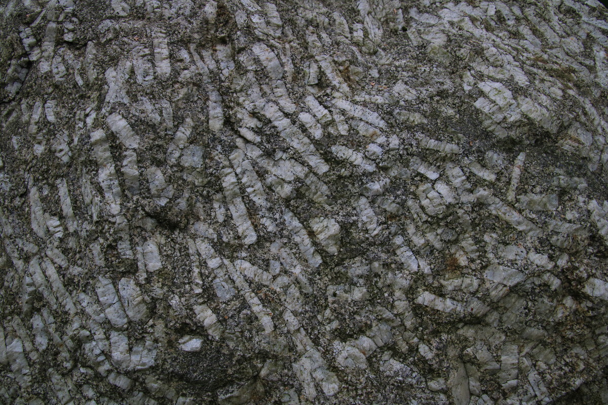 2016_09_16_030081_Bildgr��e �ndern