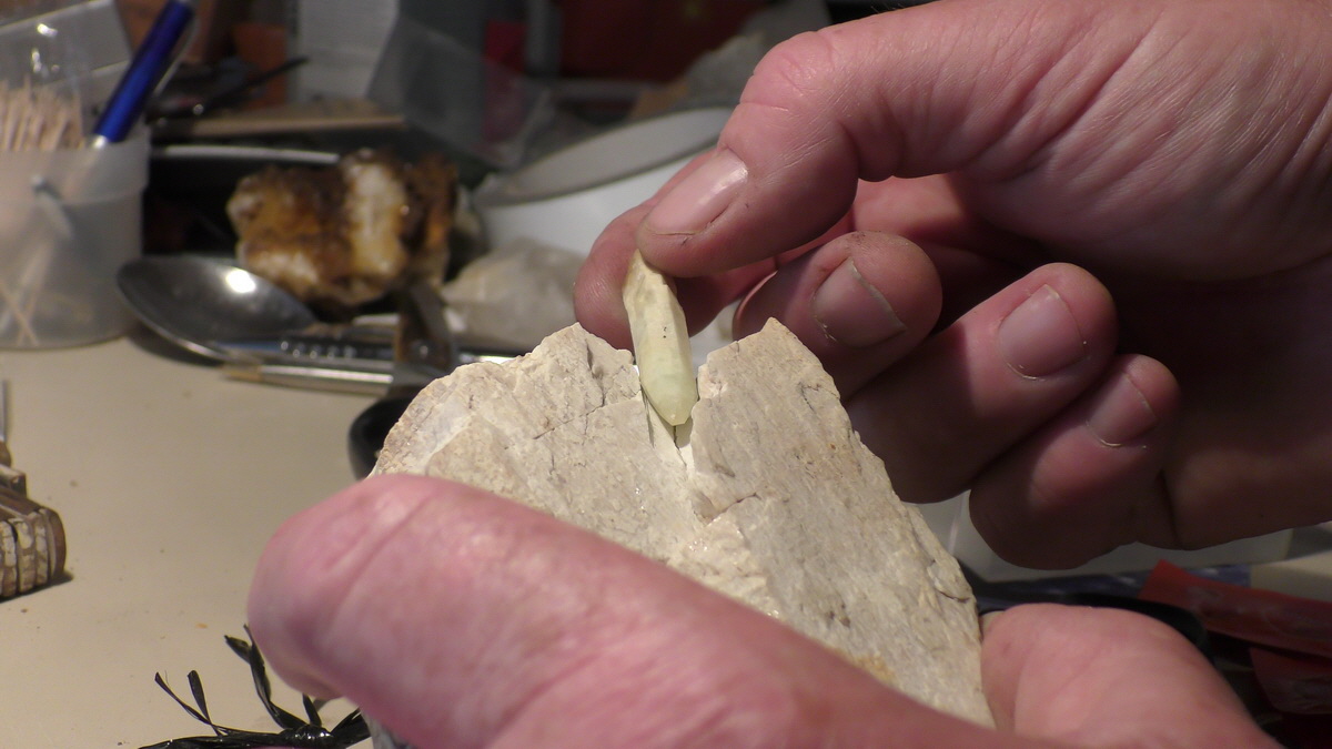 09-16-2016_130432(15)_Bildgr��e �ndern