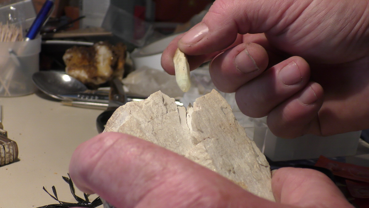 09-16-2016_130432(16)_Bildgr��e �ndern