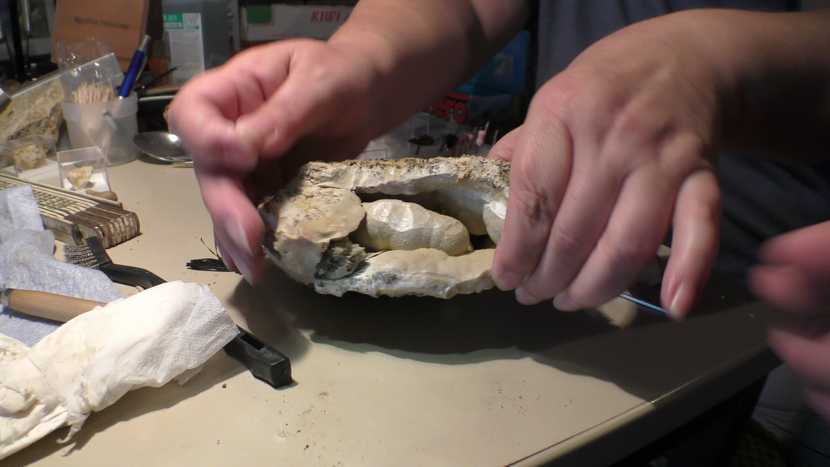 09-16-2016_130432(3)_Bildgr��e �ndern