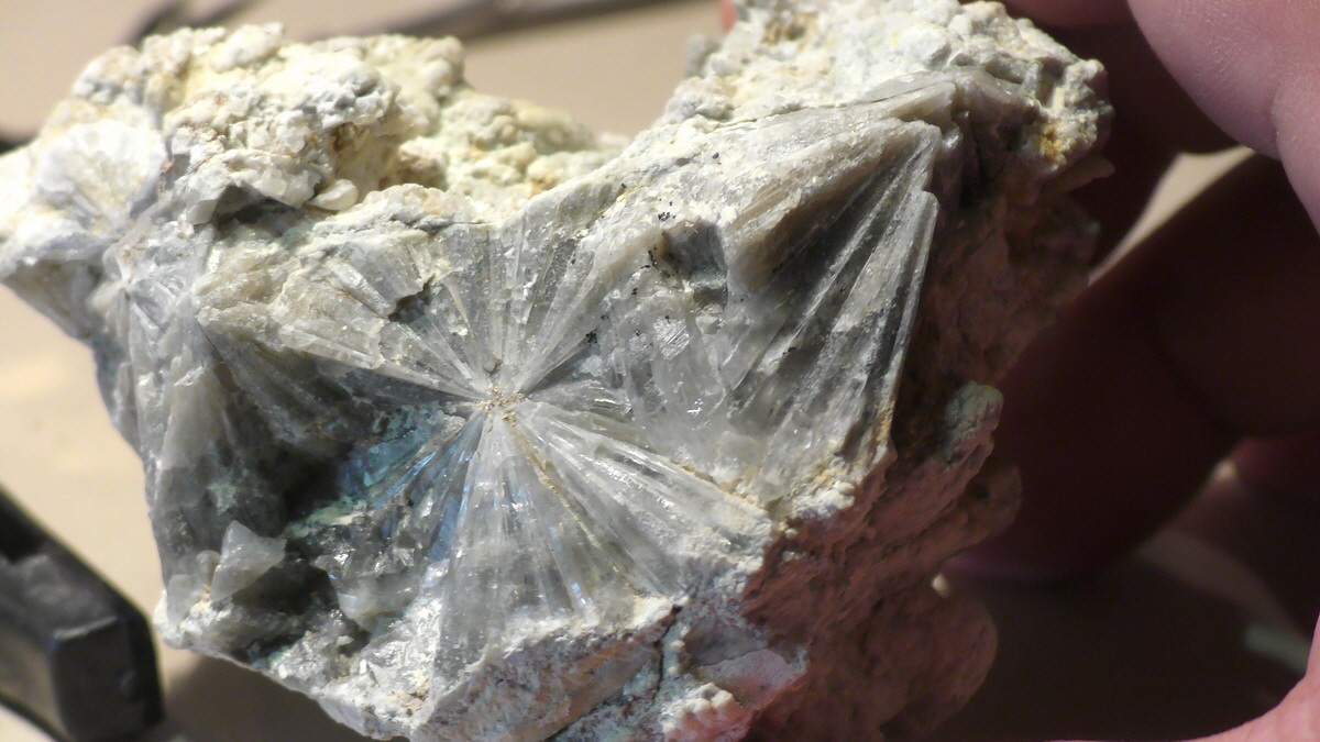 09-16-2016_130432(5)_Bildgr��e �ndern