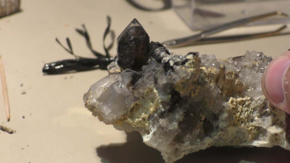 09-16-2016_130432(9)_Bildgr��e �ndern