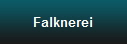 Falknerei