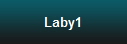 Laby1
