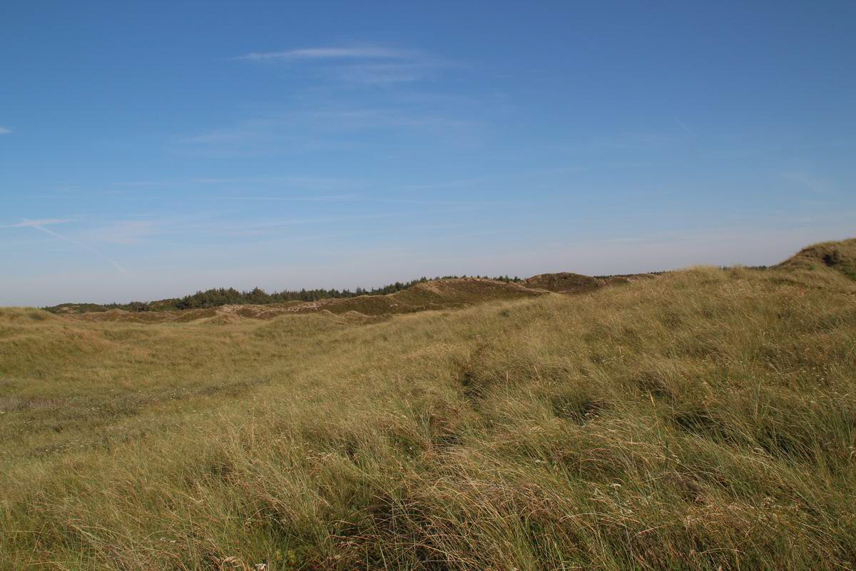 IMG_2012_08_18_000862_Bildgr��e �ndern