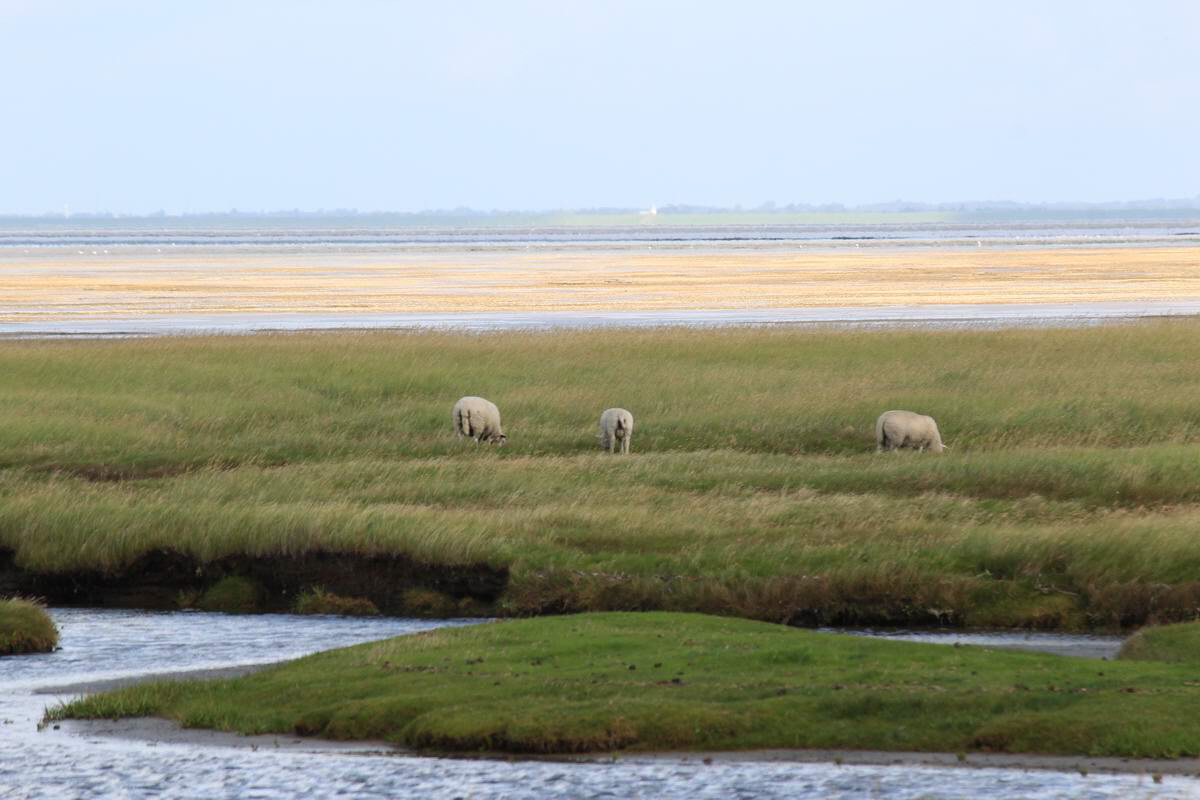 IMG_2012_08_23_003332_Bildgr��e �ndern