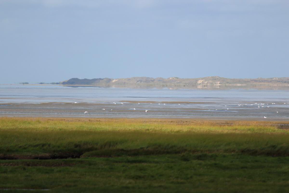 IMG_2012_08_23_003336_Bildgr��e �ndern