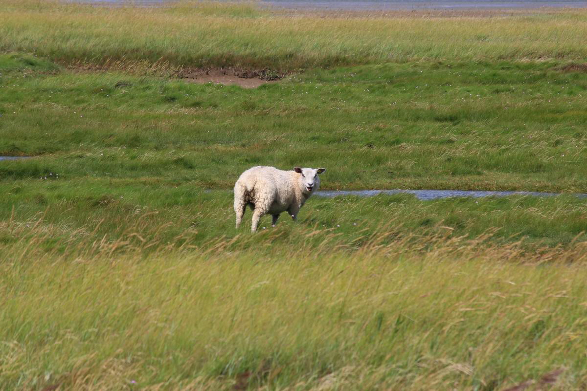 IMG_2012_08_23_003376_Bildgr��e �ndern