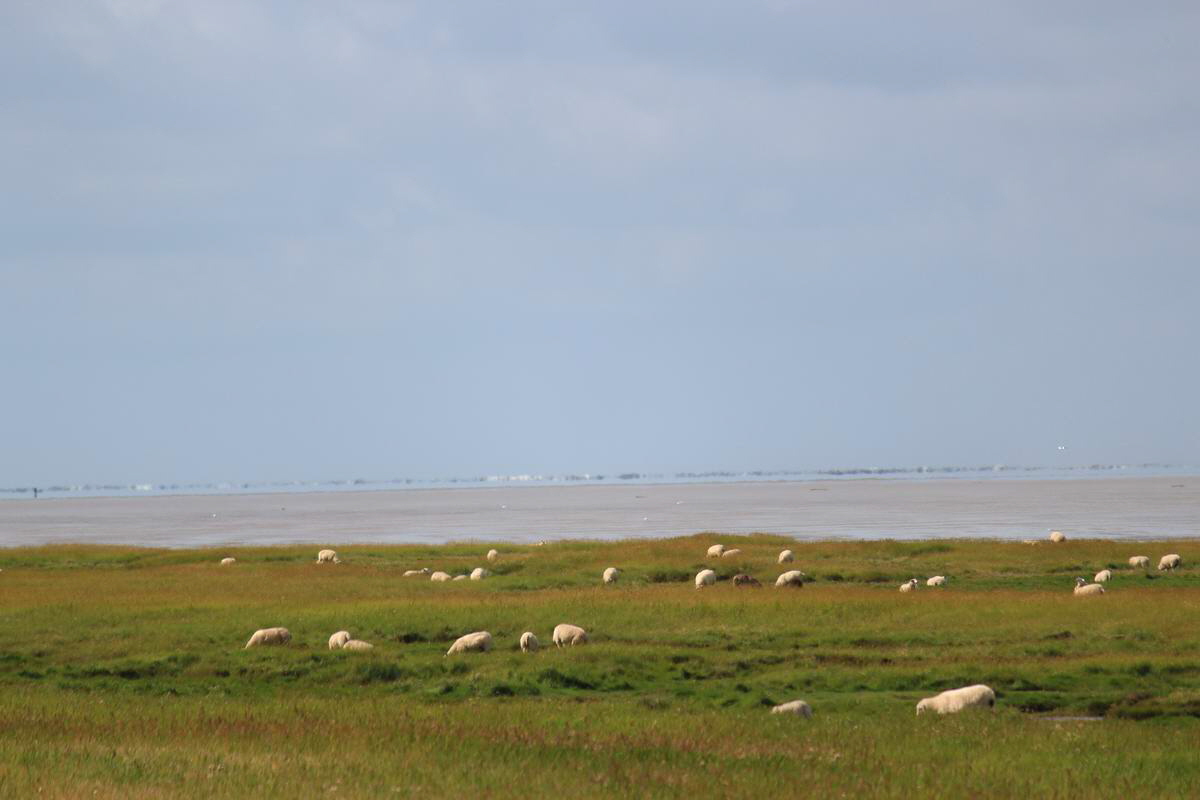 IMG_2012_08_23_003390_Bildgr��e �ndern