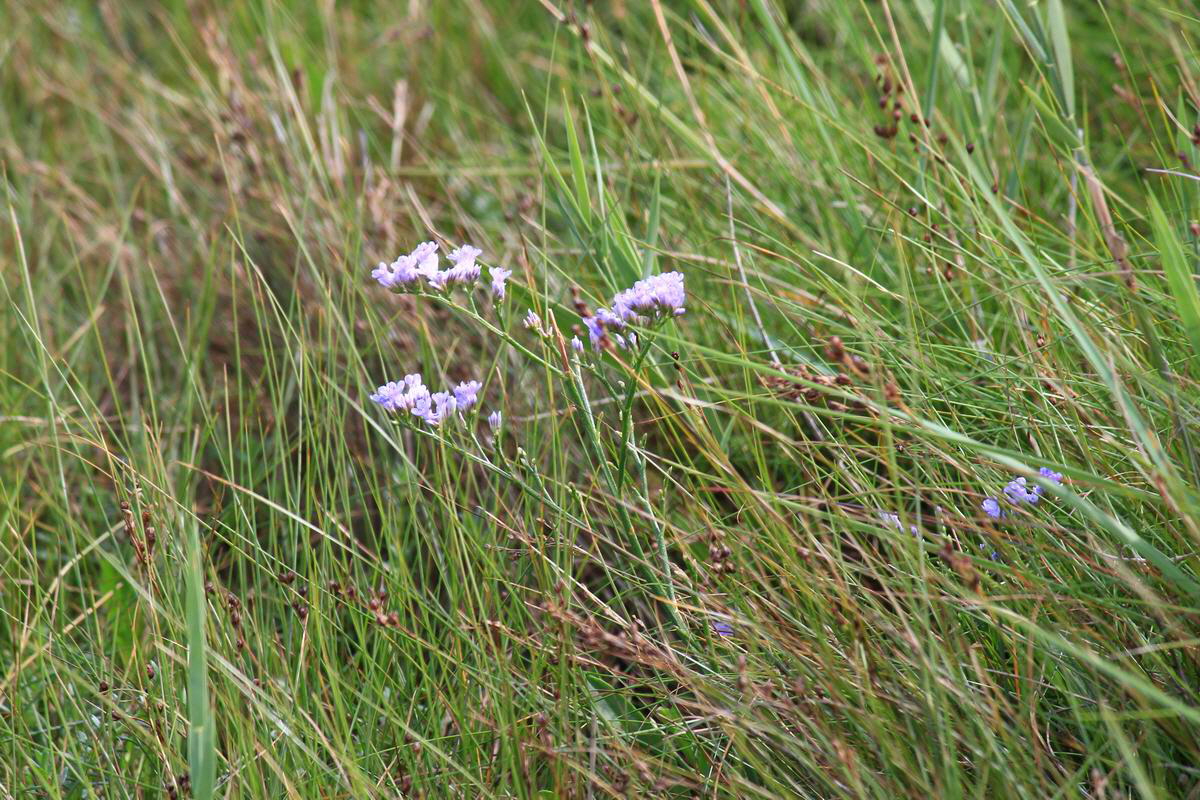 IMG_2012_08_23_003393_Bildgr��e �ndern