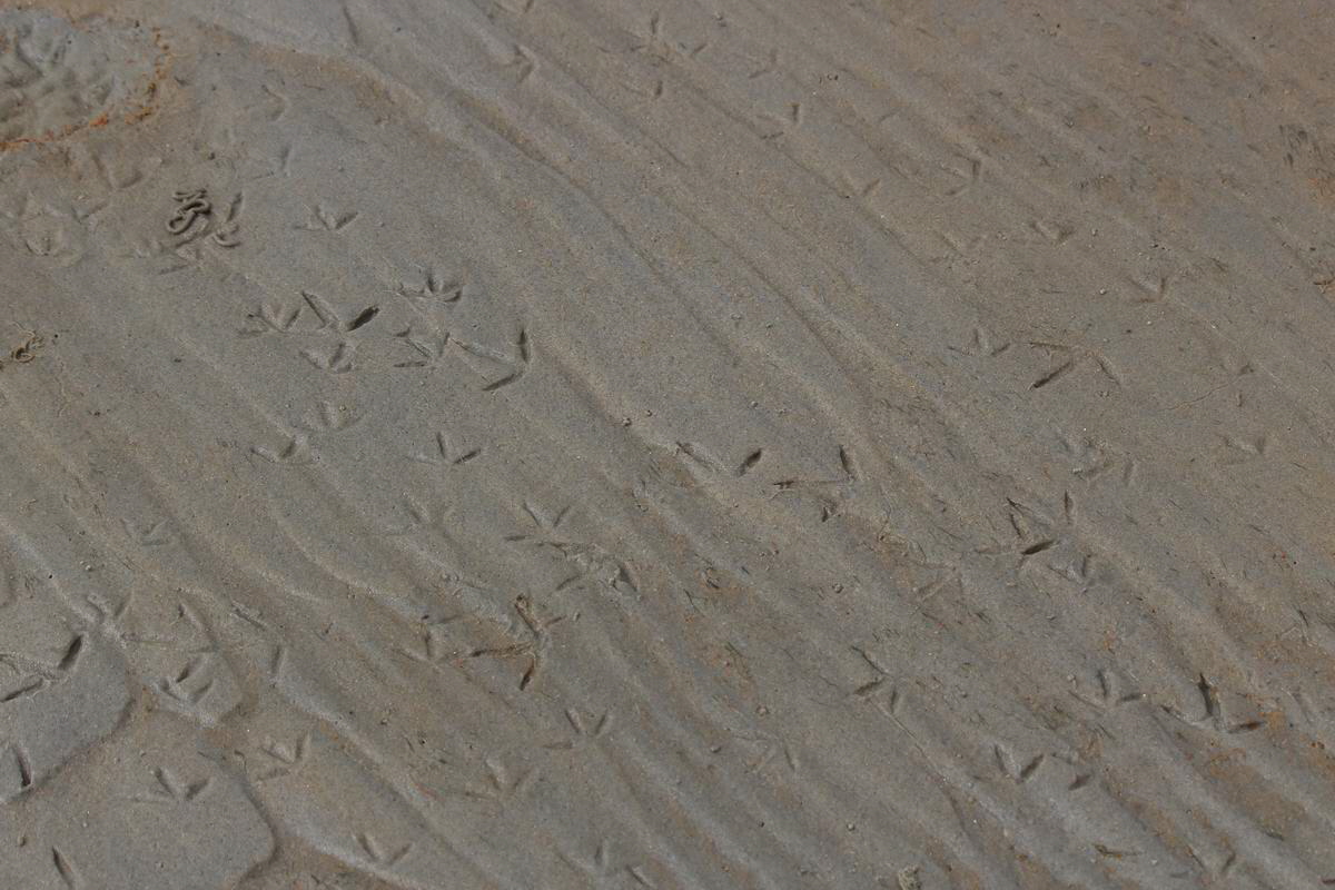 IMG_2012_08_23_003427_Bildgr��e �ndern