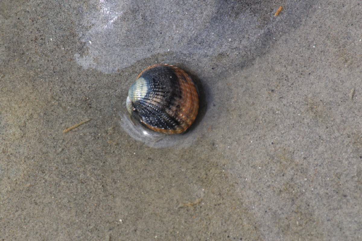 IMG_2012_08_23_003445_Bildgr��e �ndern