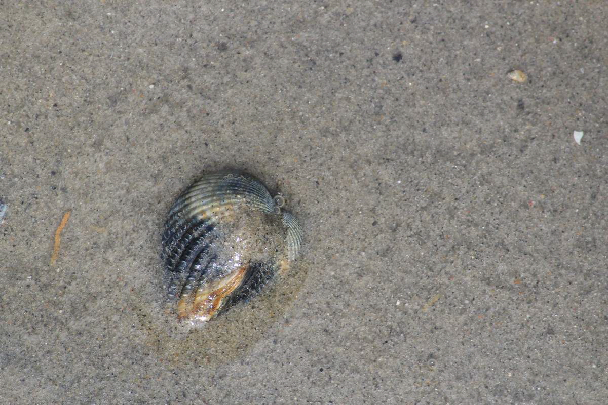 IMG_2012_08_23_003450_Bildgr��e �ndern