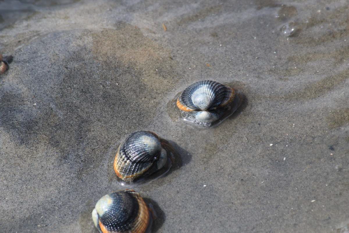 IMG_2012_08_23_003452_Bildgr��e �ndern