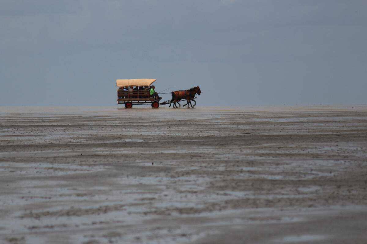 IMG_2012_08_23_003482_Bildgr��e �ndern