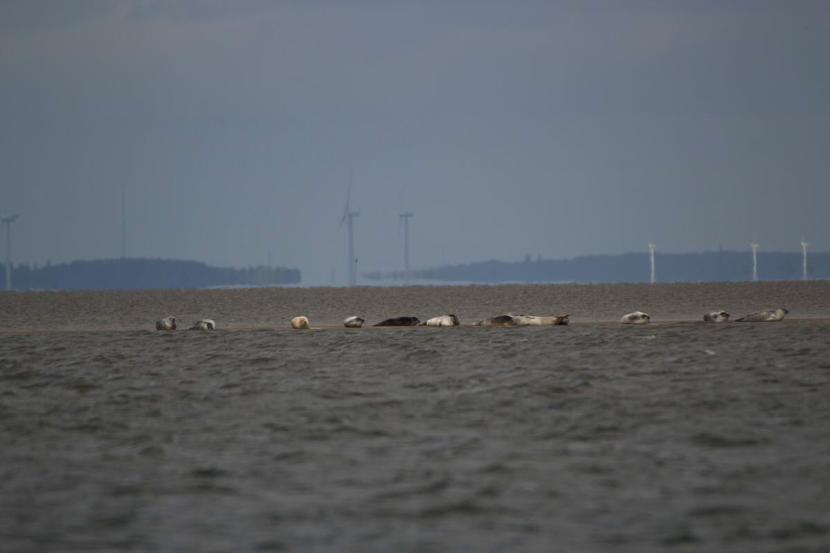 IMG_2012_08_23_003624_Bildgr��e �ndern